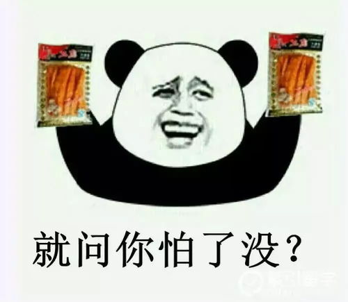 夫人私下从事的副业究竟是什么？引人好奇的背后故事
