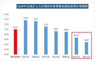 在农村市场，哪些商品最具盈利潜力？