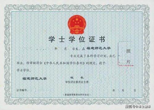 学位证翻译副业有哪些坑？如何避免踩雷？