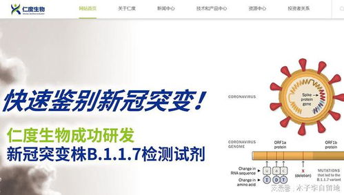 参与新股申购，真的能稳赚不赔吗？