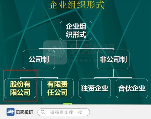 兼职股东权益与责任如何合理界定与处理？