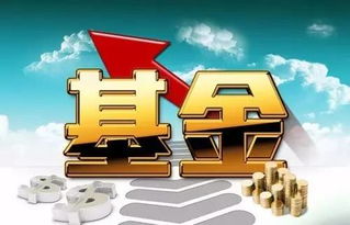 为何投资某些基金会不赚钱？这类基金究竟有何特别之处？