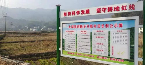 丹东农民选择哪些项目能实现高效益增收？