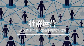 吉安副业创收如何高效运营？掌握这些关键策略了吗？