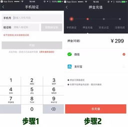 如何与伴侣携手开启小黄车盈利之旅？