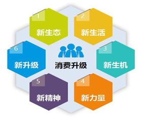 如何在服务行业中找到高收益的赚钱机会？