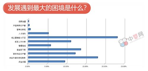 当前市场环境下，开设什么类型的店铺最有盈利潜力？