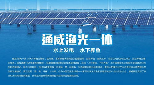 湖南养殖哪类项目利润最高？探寻最具潜力的致富门路