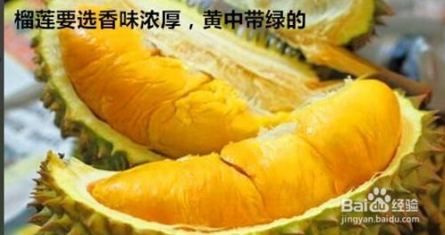 批发市场挑选水果有哪些秘诀？如何全面掌握优质购果技巧？