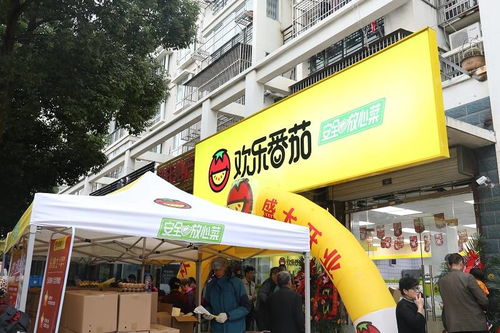 在碧桂园门口开设超市，能否实现盈利？