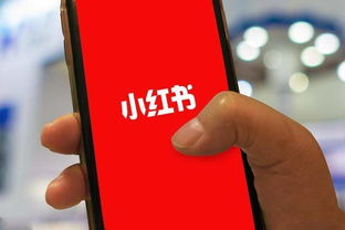 小白能否通过小红书实现盈利？赚钱攻略全解析