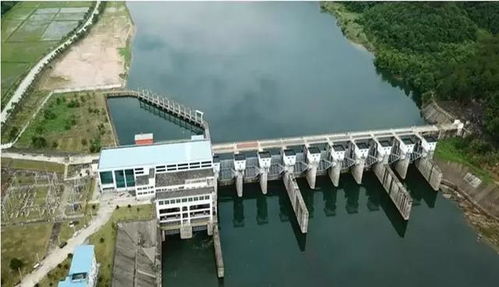 水电站建设中有哪些项目能迅速带来经济效益？