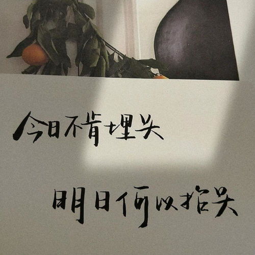如何实现边赚钱边瘦身？励志文案带你开启双赢之旅！