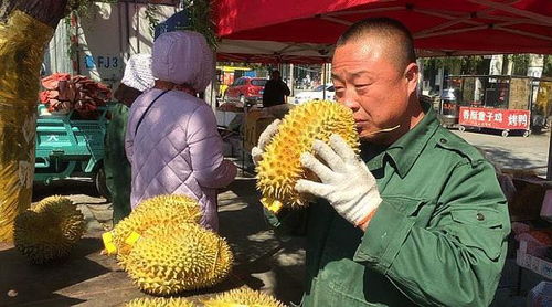 女性靠卖榴莲能盈利吗？一张图告诉你真相