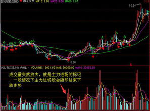 哪个星座在股市中更能捞金？十二星座炒股盈利大比拼