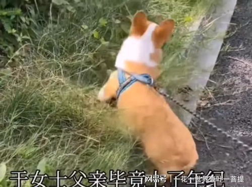为何他们自己赚钱自己花，却从不给我一分钱？
