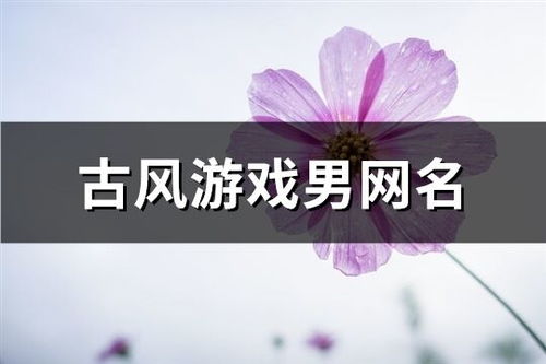 如意网名是否真的能带来好运？你用过吗？