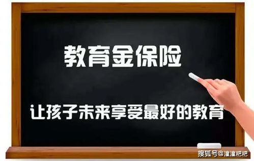 吴俊霆除了主业外还涉足哪些副业领域？
