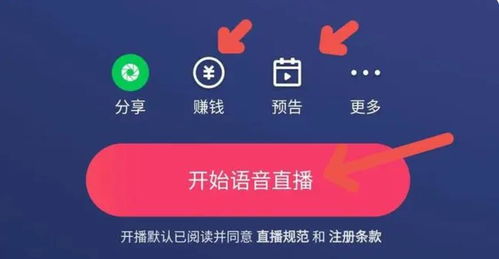 如何通过网课直播实现盈利？新手也能掌握的赚钱技巧