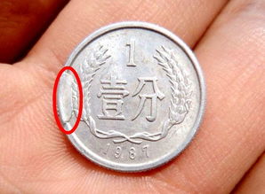 在全球范围内，哪个国家捡硬币能带来最可观的收益？