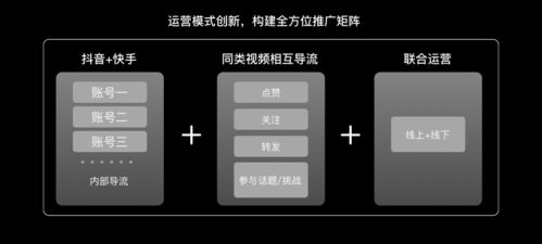 樊登如何在抖音平台上实现盈利？