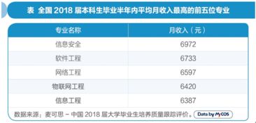 大学信息安全专业真的能带来高收入吗？