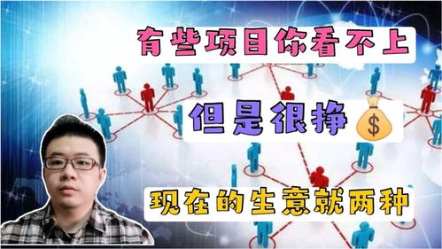 哪个行业最赚钱？探寻当前最火爆的生意项目