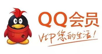 免费QQ会员真的存在吗？探索无需付费的升级之路？