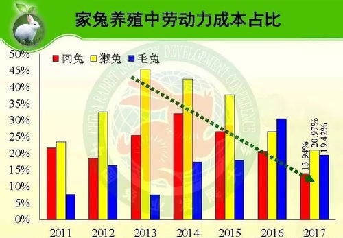 养兔子几年能实现盈利？新手必看的养殖周期与收益分析