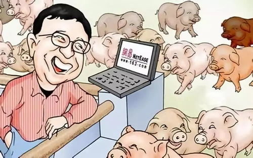 农村养猪副业真的能赚钱吗？如何实现盈利？