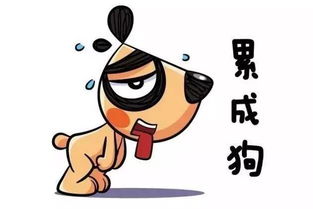 为什么感觉赚钱总是那么累？背后的原因是什么？