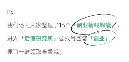 副业岛究竟指的是什么？揭开这个热门概念的真正含义