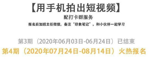 如何选择适合自己的视频拍摄副业？新手入门指南