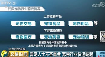 东莞宠物加盟项目真的能盈利吗？知乎上的真实反馈如何？
