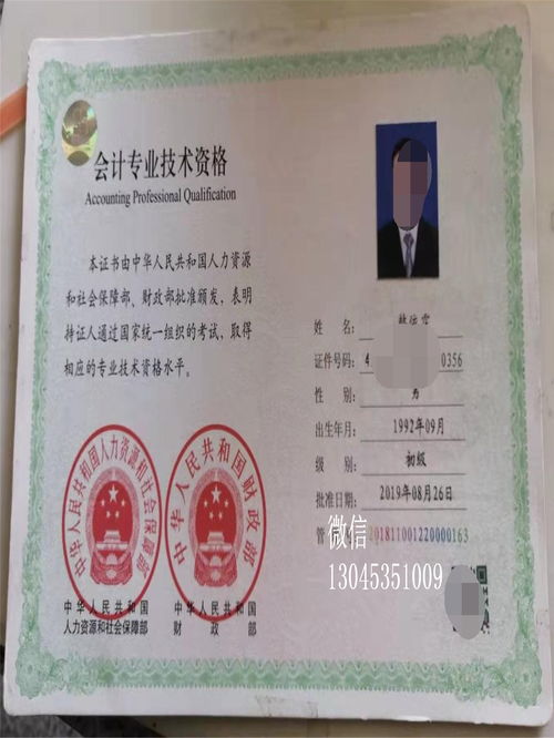 初级会计师究竟是什么？其职称等级又该如何理解？