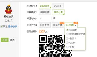 低价刷QQ年费会员是否合法？探讨这一行为的风险与后果