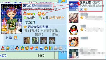 QQ会员刷失败如何解决？刷的会员不掉怎么办？