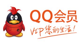 电脑刷QQ会员永久可靠吗？会面临封号风险吗？
