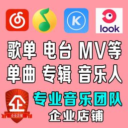 如何使用QQ音乐刷粉丝软件？QQ音乐VIP身份速成真的可靠吗？