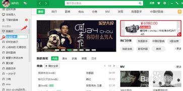 如何高效刷QQ音乐歌单？网页版与网站版哪个更给力？