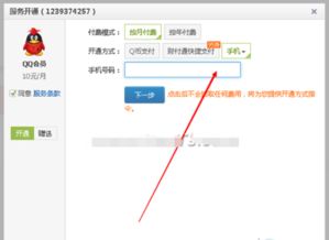 QQ刷会员软件有哪些？如何安全使用？