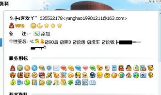 QQ刷标识有哪些玩法？这些独特的标志究竟代表了什么？