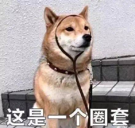 QQ刷单被骗的钱能追回吗？