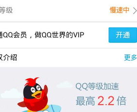 免费获得QQ豪华黄钻会员，有哪些方法可以实现？