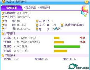 如何使用QQ宠物辅助软件高效刷称号？