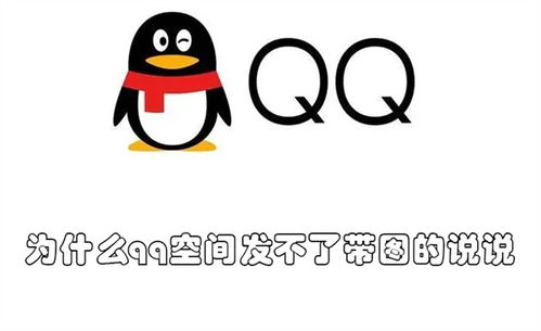 手机QQ如何刷说说评论？一款必备的手机软件推荐！