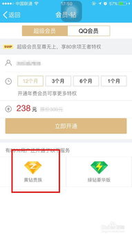 如何刷QQ黄钻永久且防封？可靠软件还是网站更胜一筹？