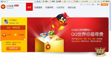 如何快速刷QQ钻皇业务？