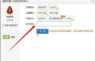 如何高效使用QQ刷钻大师？轻松提升QQ钻等级！