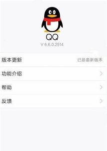 QQ如何快速获取直播资格？